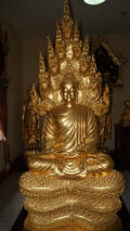 Gold Buddha