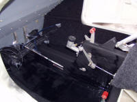 Internal Painting of Jabiru