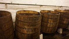 Pilsner Urquell Brewery