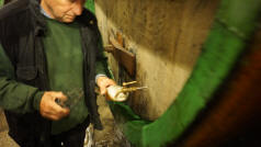 Pilsner Urquell Brewery