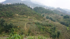 Trekking Sapa