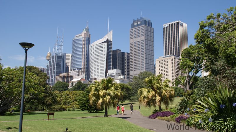 Sydney Skyline