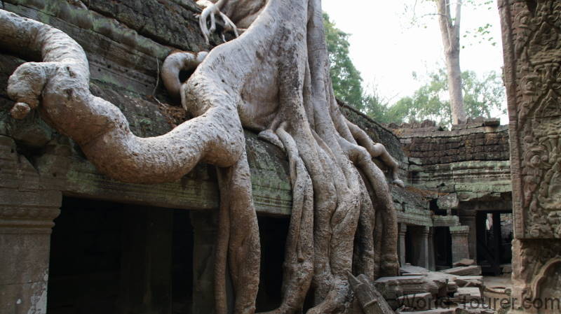 Ta Prohm