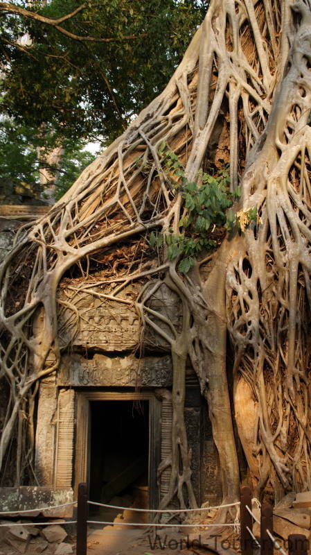 Ta Prohm