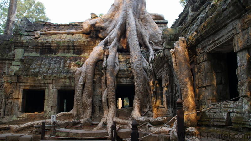 Ta Prohm
