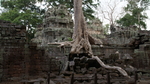 Ta Prohm