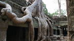 Ta Prohm