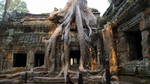 Ta Prohm