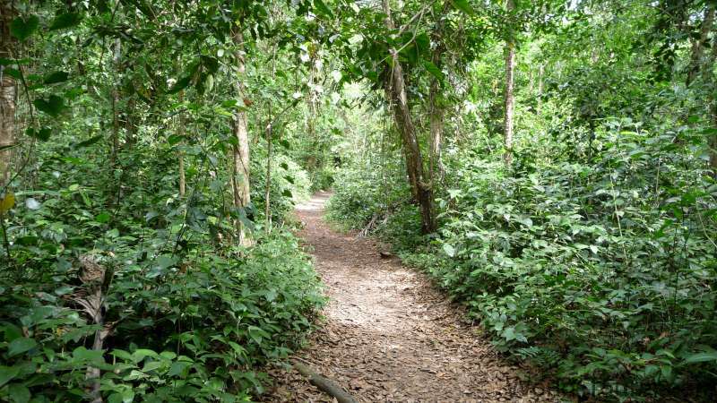 Cahuita Park