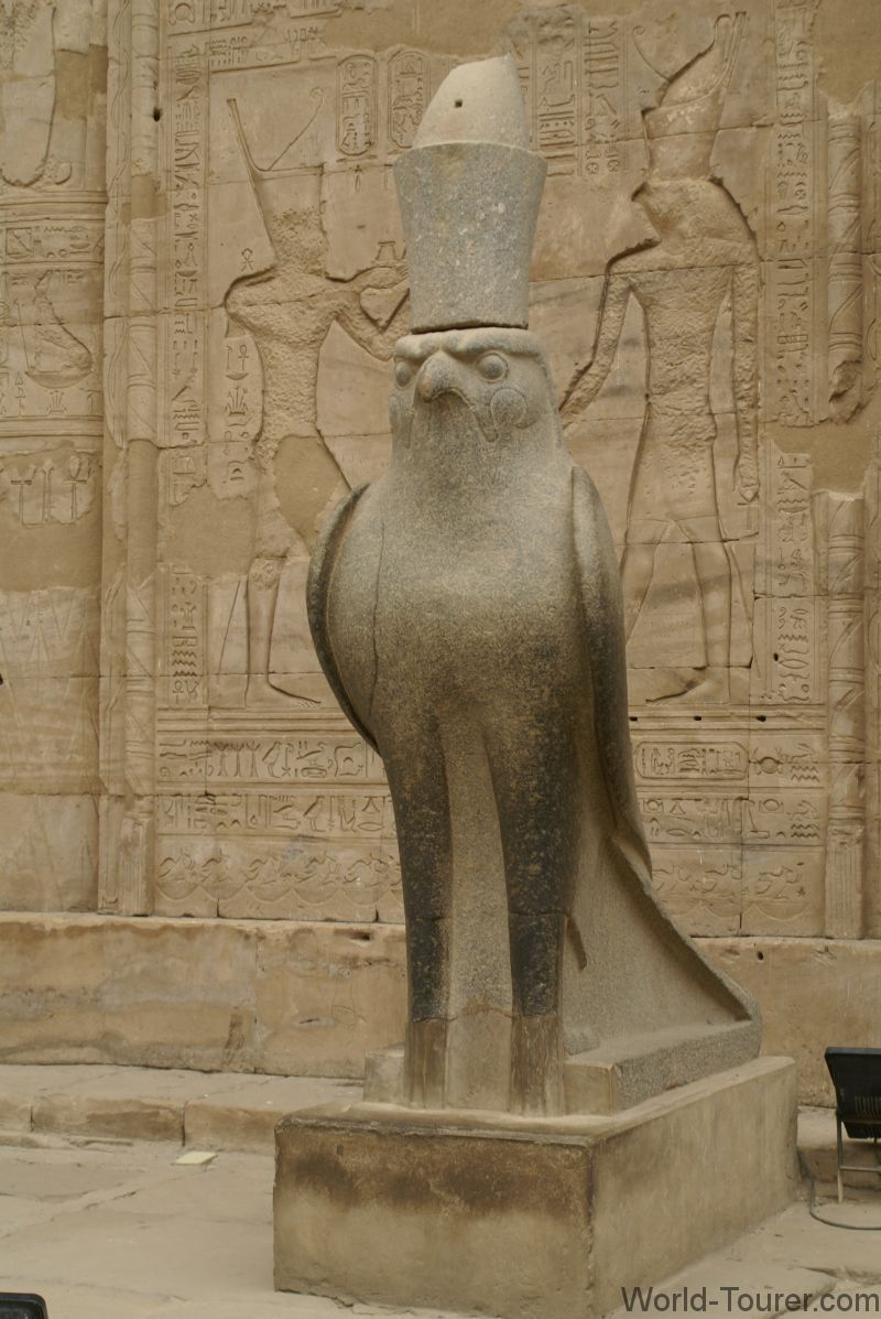 Edfu Falcon