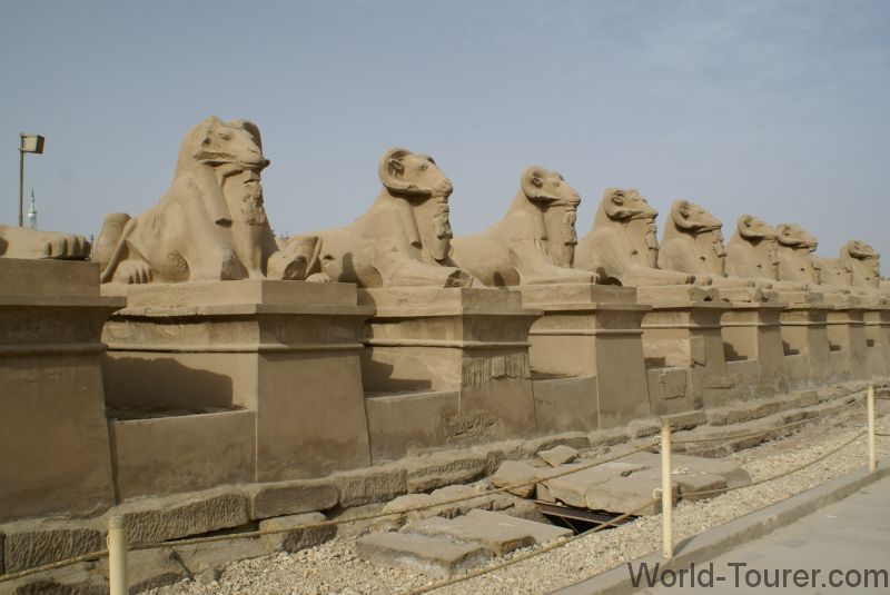 Sphinx Row
