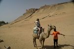 Camel Ride