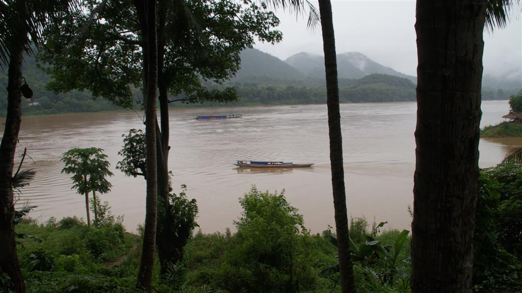 Mekong River Boats