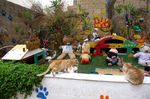 Cat Village