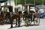 Horse Cab
