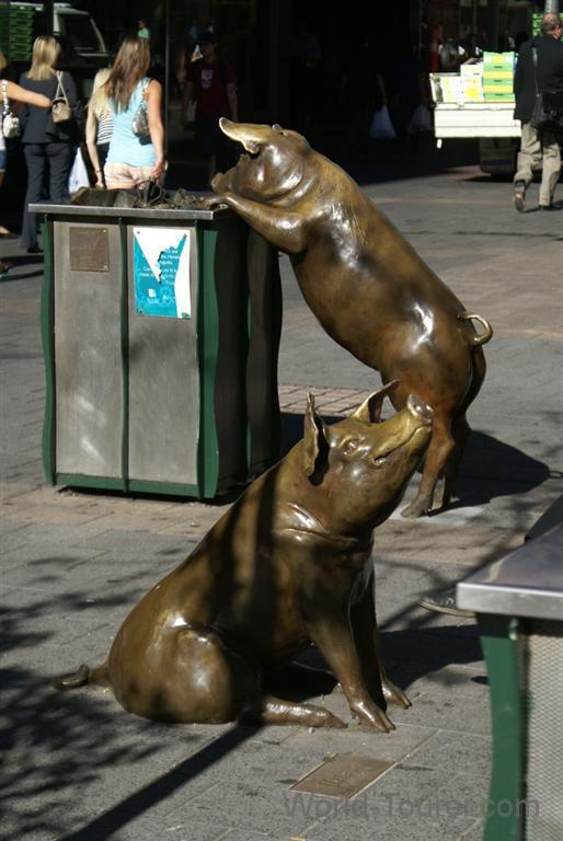 Pigs in Rundle Mall