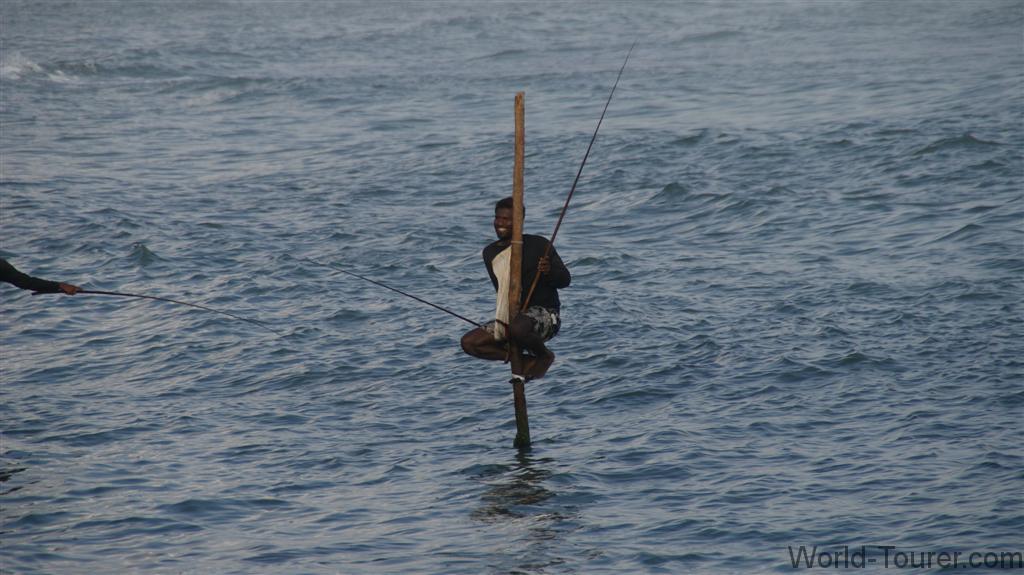 Stilt Fishing