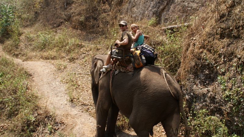 Elephant Ride