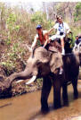 Elephant Ride Thailand