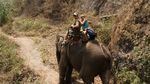 Elephant Ride