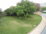 Grassy Knoll