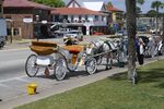 Buggy Tours