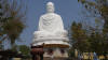 Big White Buddha