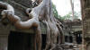 Ta Prohm
