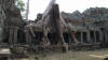 ta prohm